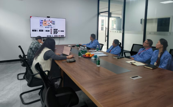 浙江赛特助力，重庆车灯企业顺利通过印度CMVR审厂